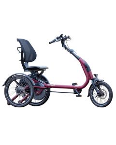 Van Raam Easy rider compact